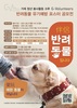 [공모전] 반려동물 유기옙랑 포스터 공모전