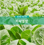 농업회사법인 지씨엘팜