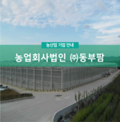 농업회사법인 (주)동부팜