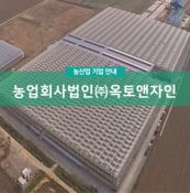 농업회사법인 (주)옥토앤자인
