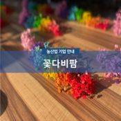 꽃다비팜
