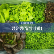 팜유팸(밀양상회)