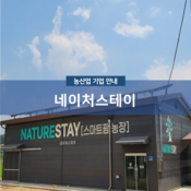 네이처스테이