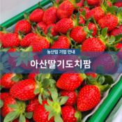 아산딸기도치팜