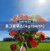 포그로우스(4growth)