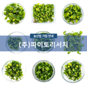 (주)파이토리서치