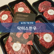닥터스한우