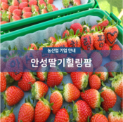 안성딸기힐링팜