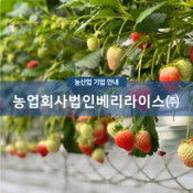 농업회사법인베리라이스(주)