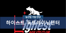 하이스트독트레이닝센터|반려동물훈련 