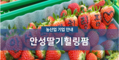 안성딸기힐링팜|시설재배 및 체험농장