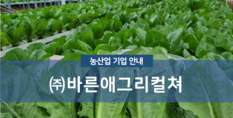 (주)바른애그리컬쳐|귀농 컨설팅 및 채소 재배업
