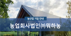 농업회사법인(주)뭐하농|곡물 및 기타 식량작물 재배업