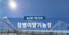 잠뱅이딸기농장|작물재배업 및 컨설팅