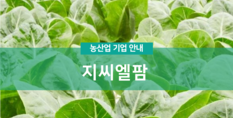 농업회사법인 지씨엘팜|수직식물농장사업