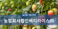 농업회사법인베리라이스(주)|채소작물재배업