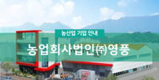 농업회사법인(주)영풍|식품제조가공업