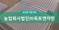 농업회사법인 (주)옥토앤자인|토마토 재배(스마트팜)