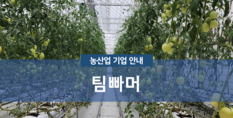 팀빠머|스마트팜