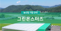 그린몬스터즈|오이재배(스마트팜)